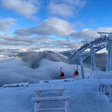 Ski View Studio - Near The Ski Slopes Azuga Εξωτερικό φωτογραφία