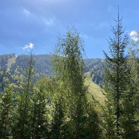 Ski View Studio - Near The Ski Slopes Azuga Εξωτερικό φωτογραφία