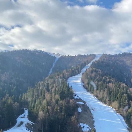 Ski View Studio - Near The Ski Slopes Azuga Εξωτερικό φωτογραφία