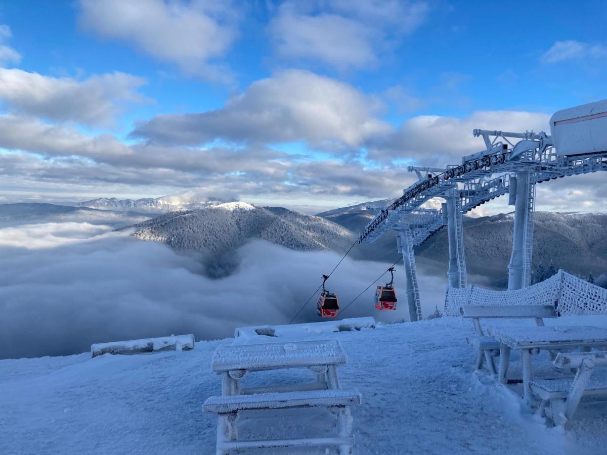 Ski View Studio - Near The Ski Slopes Azuga Εξωτερικό φωτογραφία