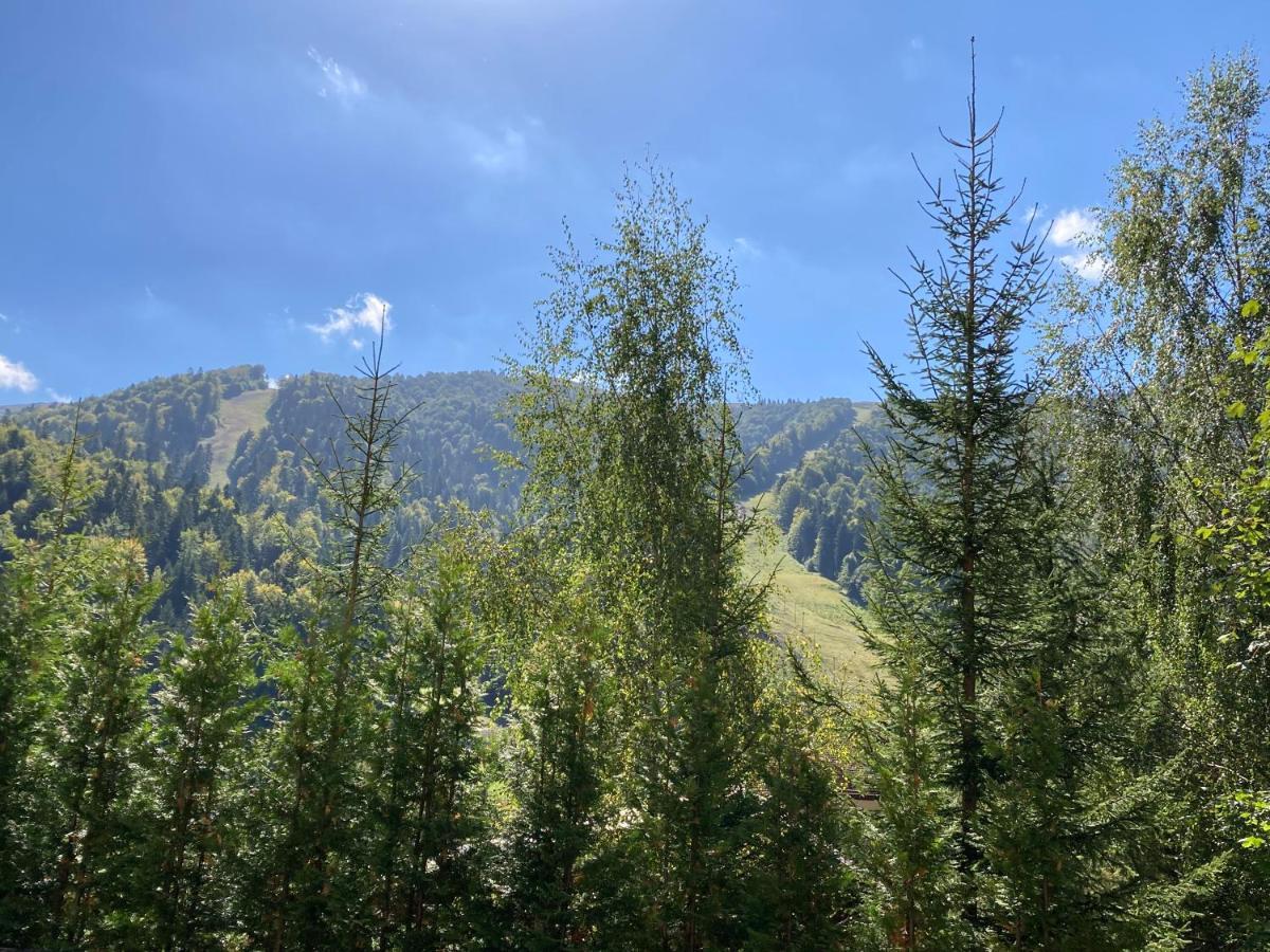 Ski View Studio - Near The Ski Slopes Azuga Εξωτερικό φωτογραφία