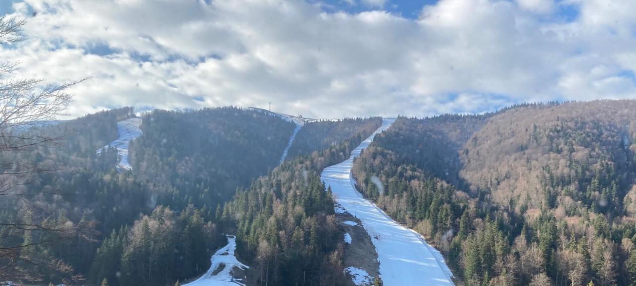 Ski View Studio - Near The Ski Slopes Azuga Εξωτερικό φωτογραφία