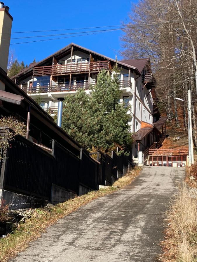 Ski View Studio - Near The Ski Slopes Azuga Εξωτερικό φωτογραφία