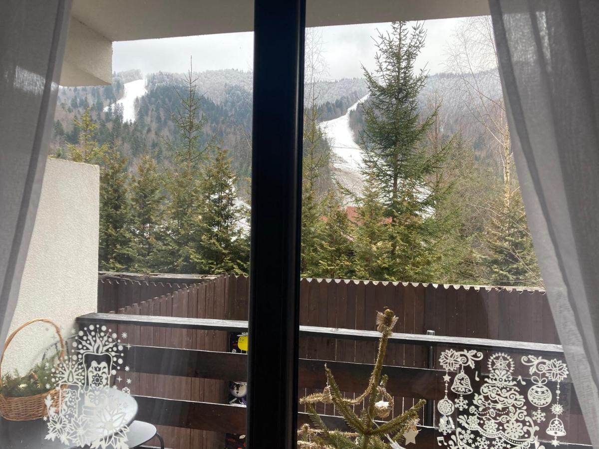 Ski View Studio - Near The Ski Slopes Azuga Εξωτερικό φωτογραφία