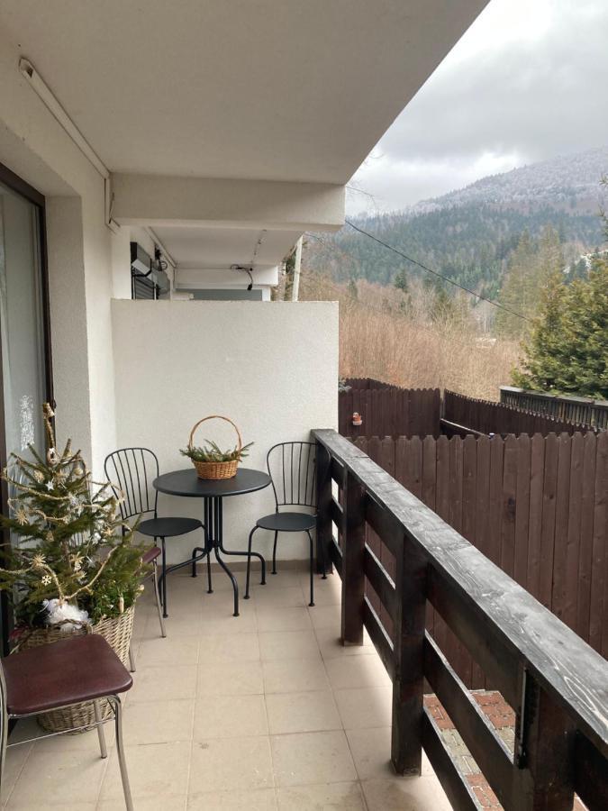 Ski View Studio - Near The Ski Slopes Azuga Εξωτερικό φωτογραφία